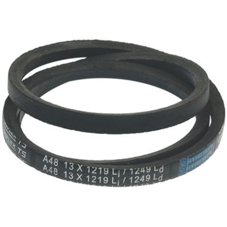 CINGHIA CONTI-V FO PIONEER...