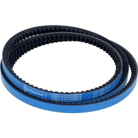 CINGHIA CONTI-V FO PIONEER...