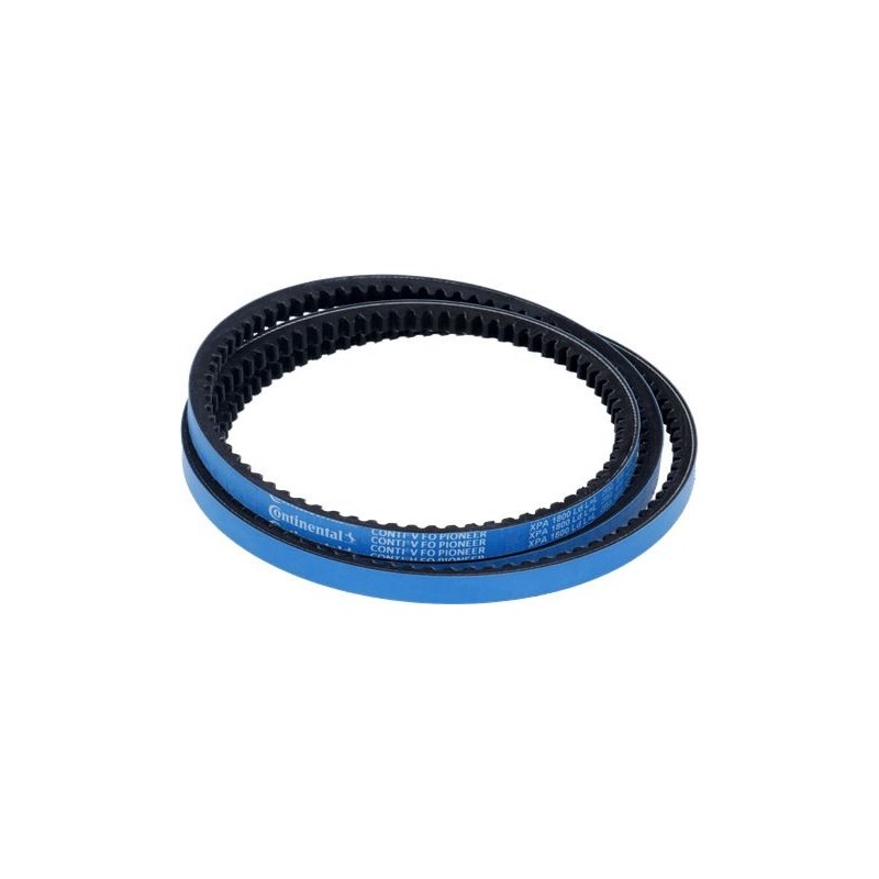 CINGHIA CONTI-V FO PIONEER...
