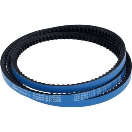 CINGHIA CONTI-V FO PIONEER...